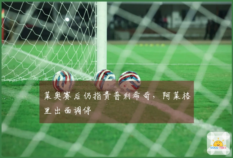 莱奥赛后仍指责普利希奇，阿莱格里出面调停